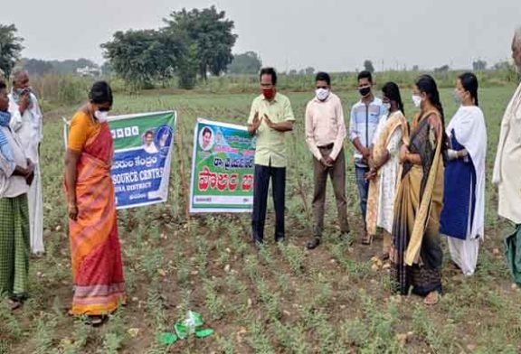 కంచికచర్ల ‌వ్యవసాయ శాఖ ఆధ్వరంలో పొలంబడి కార్యక్రమం