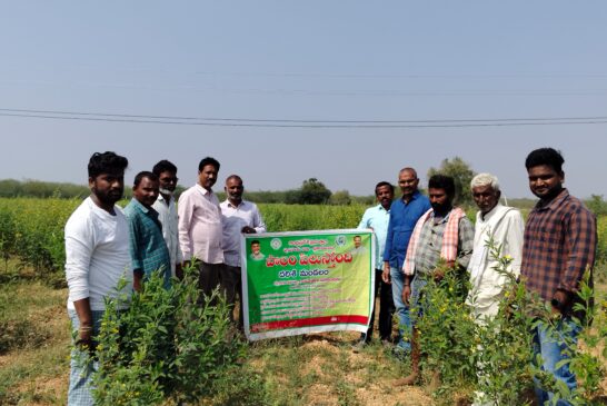 పొలం పిలుస్తుంది కార్యక్రమం లో దర్శి వ్యవసాయ అధికారులు