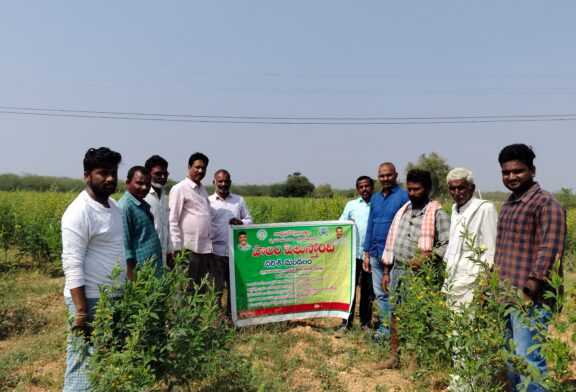 పొలం పిలుస్తుంది కార్యక్రమం లో దర్శి వ్యవసాయ అధికారులు